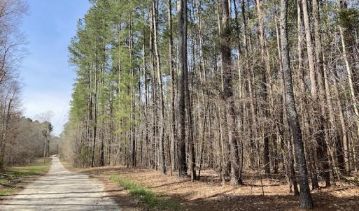 Photo #14 of Off Woodberry Drive, Grimesland, NC 12.4 acres