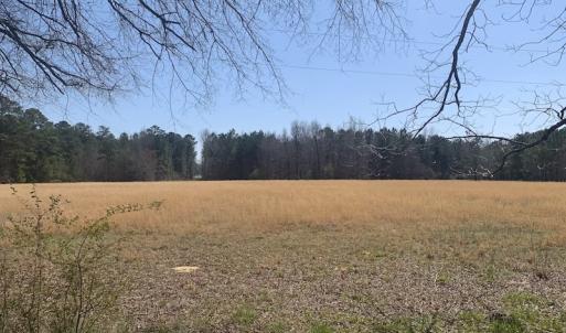 Photo #12 of SOLD property in Off Titan Roberts Road, Erwin, NC 1.1 acres
