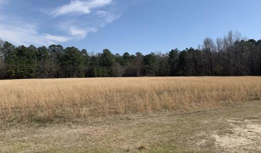 Photo #13 of SOLD property in Off Titan Roberts Road, Erwin, NC 1.1 acres