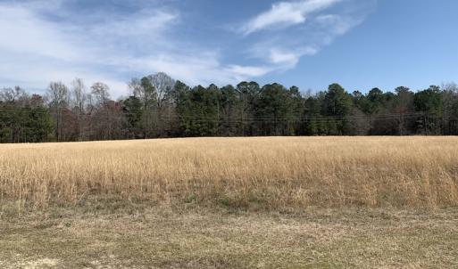 Photo #14 of SOLD property in Off Titan Roberts Road, Erwin, NC 1.1 acres