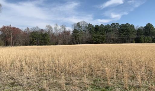 Photo #15 of SOLD property in Off Titan Roberts Road, Erwin, NC 1.1 acres