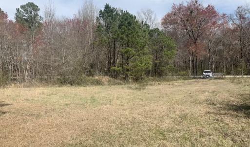 Photo #11 of SOLD property in Off Titan Roberts Road, Erwin, NC 1.3 acres