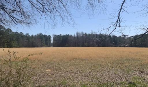 Photo #13 of SOLD property in Off Titan Roberts Road, Erwin, NC 1.3 acres