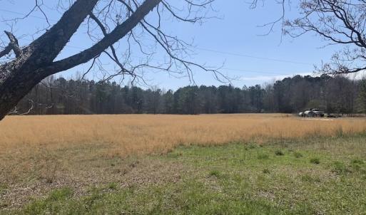 Photo #14 of SOLD property in Off Titan Roberts Road, Erwin, NC 1.3 acres