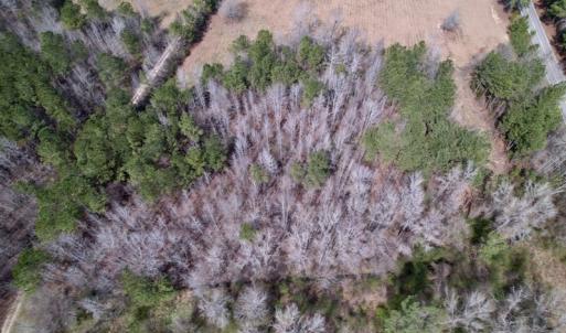Photo #9 of SOLD property in Off Titan Roberts Road, Erwin, NC 1.7 acres
