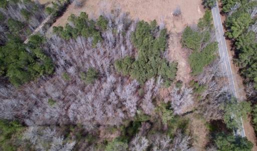 Photo #10 of SOLD property in Off Titan Roberts Road, Erwin, NC 1.7 acres
