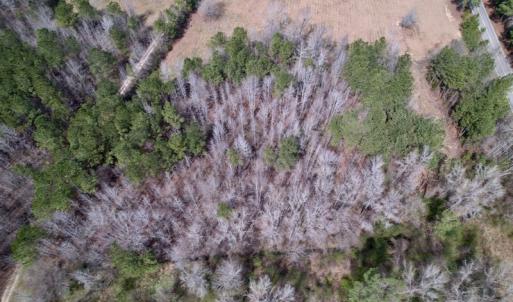 Photo #11 of SOLD property in Off Titan Roberts Road, Erwin, NC 1.9 acres