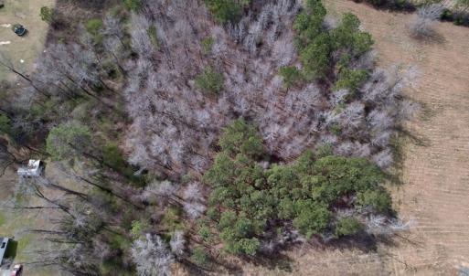 Photo #12 of SOLD property in Off Titan Roberts Road, Erwin, NC 1.9 acres