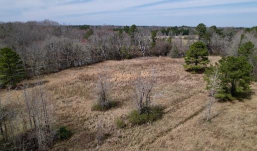 Photo #17 of SOLD property in Off Titan Roberts Road, Erwin, NC 11.3 acres