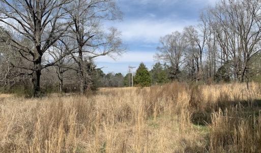 Photo #23 of SOLD property in Off Titan Roberts Road, Erwin, NC 11.3 acres