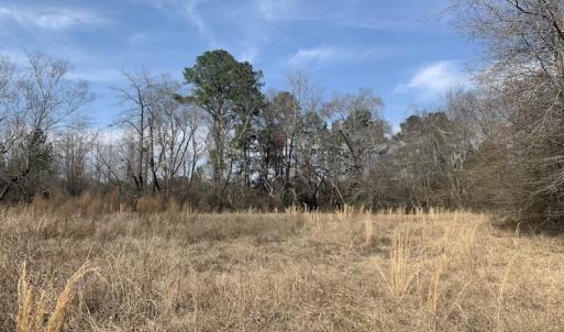 Photo #24 of SOLD property in Off Titan Roberts Road, Erwin, NC 11.3 acres