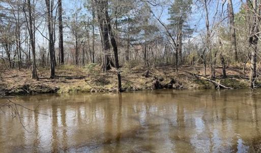 Photo #25 of SOLD property in Off Titan Roberts Road, Erwin, NC 11.3 acres