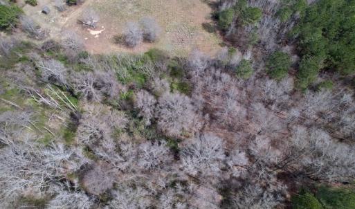 Photo #9 of SOLD property in Off Titan Roberts Road, Erwin, NC 15.3 acres