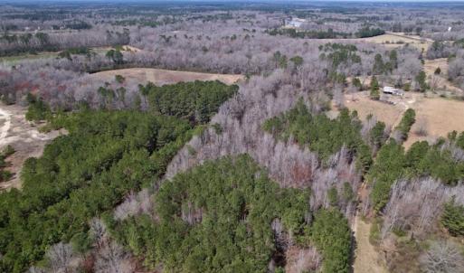 Photo #14 of SOLD property in Off Titan Roberts Road, Erwin, NC 15.3 acres