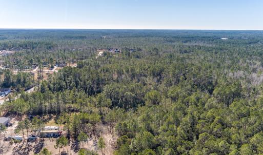 Photo #8 of SOLD property in Off Brians Woods Road, Maple Hill, NC 10.0 acres