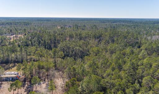 Photo #9 of SOLD property in Off Brians Woods Road, Maple Hill, NC 10.0 acres
