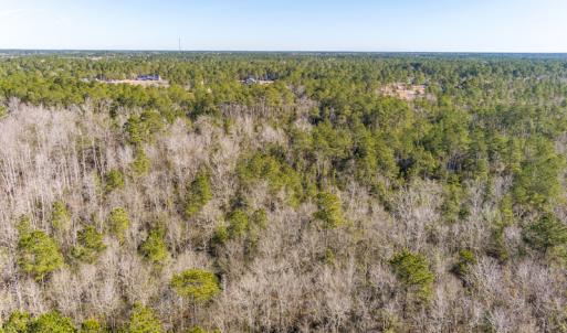Photo #10 of SOLD property in Off Brians Woods Road, Maple Hill, NC 10.0 acres