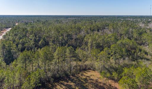 Photo #12 of SOLD property in Off Brians Woods Road, Maple Hill, NC 10.0 acres