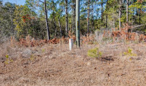 Photo #14 of SOLD property in Off Brians Woods Road, Maple Hill, NC 10.0 acres