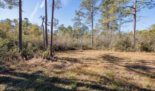 Photo #16 of SOLD property in Off Brians Woods Road, Maple Hill, NC 10.0 acres