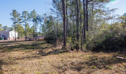 Photo #17 of SOLD property in Off Brians Woods Road, Maple Hill, NC 10.0 acres