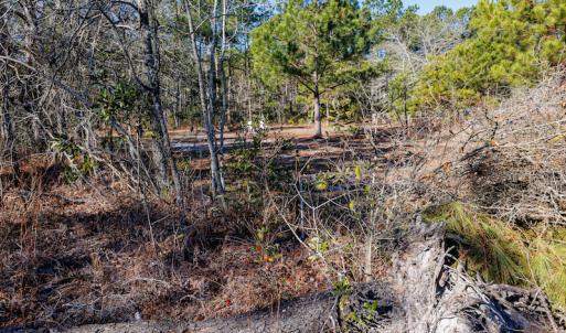 Photo #18 of SOLD property in Off Brians Woods Road, Maple Hill, NC 10.0 acres