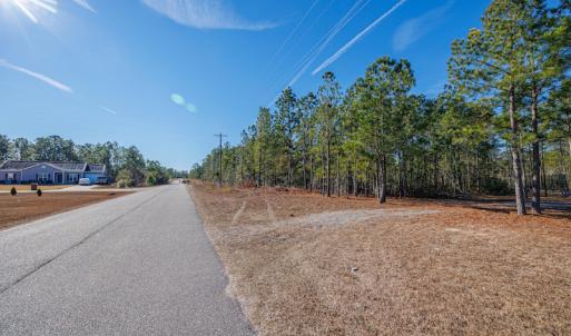 Photo #19 of SOLD property in Off Brians Woods Road, Maple Hill, NC 10.0 acres
