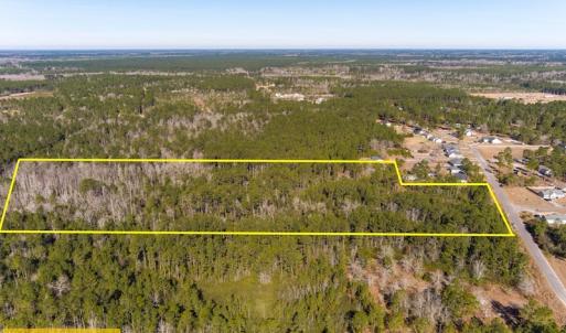 Photo #3 of SOLD property in Off Brians Woods Road, Maple Hill, NC 10.0 acres