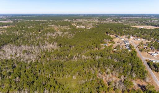 Photo #4 of SOLD property in Off Brians Woods Road, Maple Hill, NC 10.0 acres