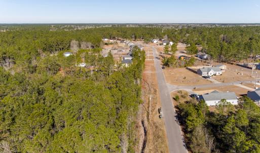 Photo #5 of SOLD property in Off Brians Woods Road, Maple Hill, NC 10.0 acres