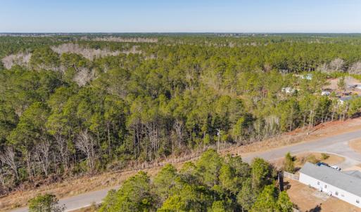 Photo #6 of SOLD property in Off Brians Woods Road, Maple Hill, NC 10.0 acres
