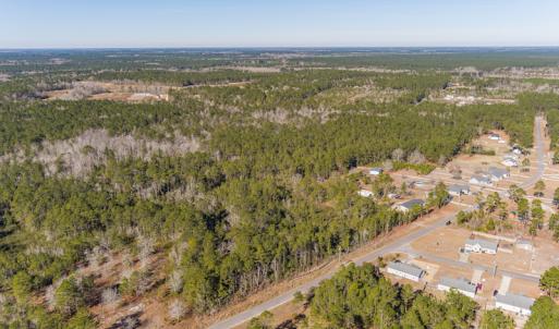 Photo #7 of SOLD property in Off Brians Woods Road, Maple Hill, NC 10.0 acres