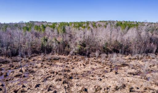 Photo #14 of SOLD property in Off Cheeks Quarter Road, Henderson, NC 9.6 acres