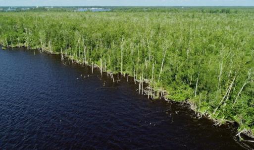 Photo #2 of SOLD property in Off Nc Hwy 158 Causeway, Camden, NC 160.0 acres
