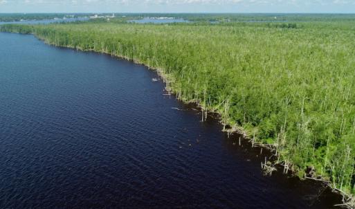 Photo #6 of SOLD property in Off Nc Hwy 158 Causeway, Camden, NC 160.0 acres