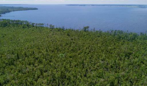 Photo #7 of SOLD property in Off Nc Hwy 158 Causeway, Camden, NC 160.0 acres