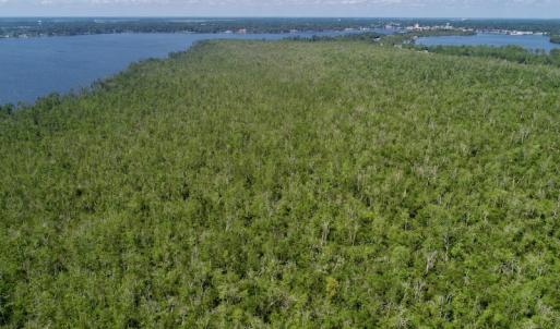 Photo #9 of SOLD property in Off Nc Hwy 158 Causeway, Camden, NC 160.0 acres