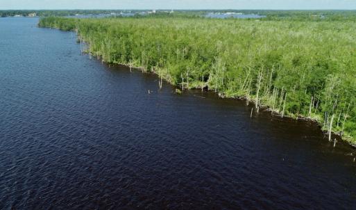 Photo #16 of SOLD property in Off Nc Hwy 158 Causeway, Camden, NC 160.0 acres