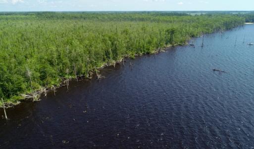 Photo #17 of SOLD property in Off Nc Hwy 158 Causeway, Camden, NC 160.0 acres