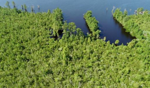Photo #19 of SOLD property in Off Nc Hwy 158 Causeway, Camden, NC 160.0 acres