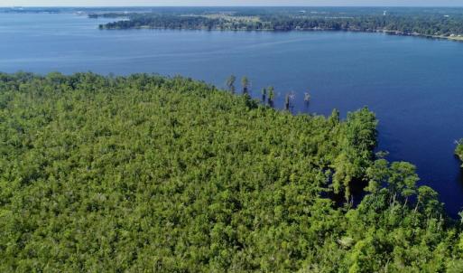Photo #20 of SOLD property in Off Nc Hwy 158 Causeway, Camden, NC 160.0 acres