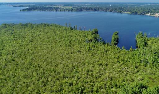 Photo #23 of SOLD property in Off Nc Hwy 158 Causeway, Camden, NC 160.0 acres