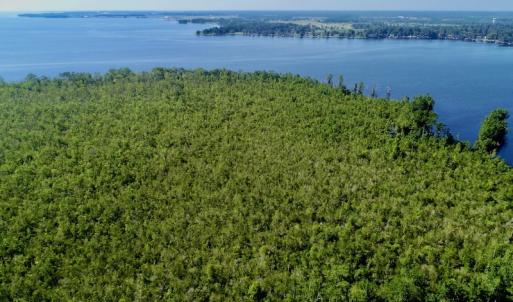 Photo #24 of SOLD property in Off Nc Hwy 158 Causeway, Camden, NC 160.0 acres