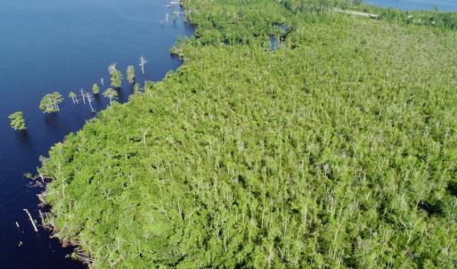 Photo #26 of SOLD property in Off Nc Hwy 158 Causeway, Camden, NC 160.0 acres