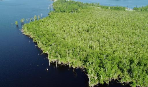 Photo #27 of SOLD property in Off Nc Hwy 158 Causeway, Camden, NC 160.0 acres