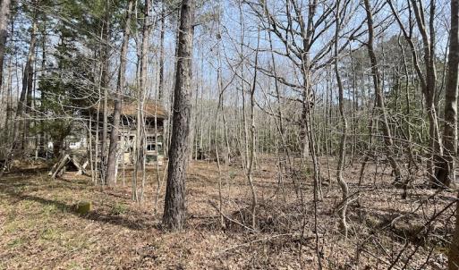 Photo #14 of SOLD property in Off Mini Road, Accomac, VA 15.0 acres