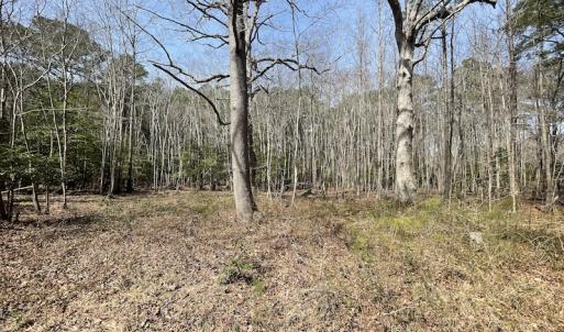 Photo #15 of SOLD property in Off Mini Road, Accomac, VA 15.0 acres