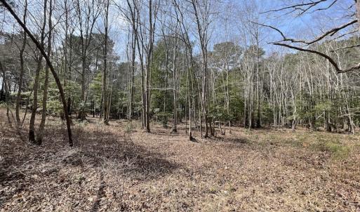 Photo #16 of SOLD property in Off Mini Road, Accomac, VA 15.0 acres
