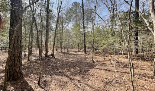 Photo #22 of SOLD property in Off Mini Road, Accomac, VA 15.0 acres