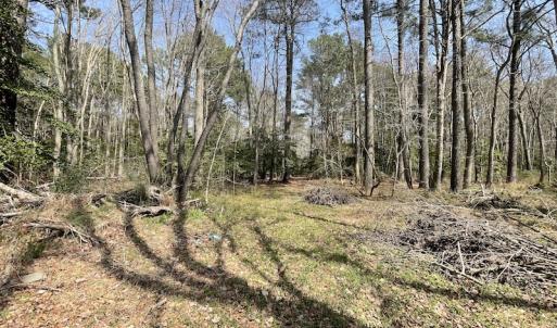 Photo #6 of SOLD property in Off Mini Road, Accomac, VA 15.0 acres